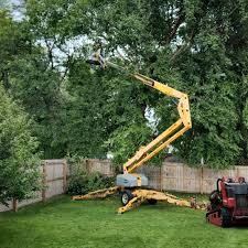 Reliable Tilden, NE Tree Removal and Landscaping Services Solutions